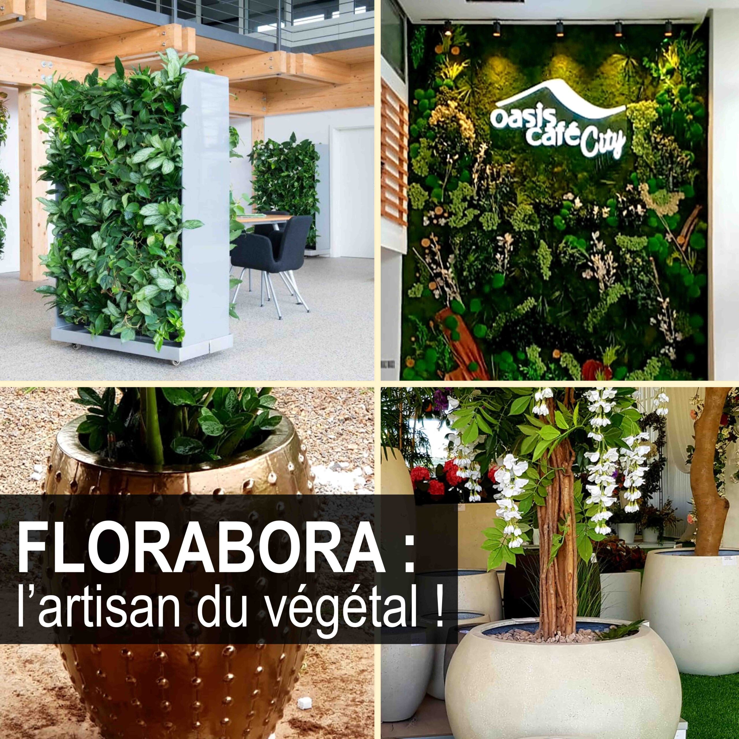 Les murs végétalisés, une combinaison entre l’art et le paysagisme par FLORABORA